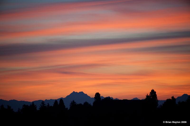 orange-colored sky with silhouette of the Olympic mountains and trees